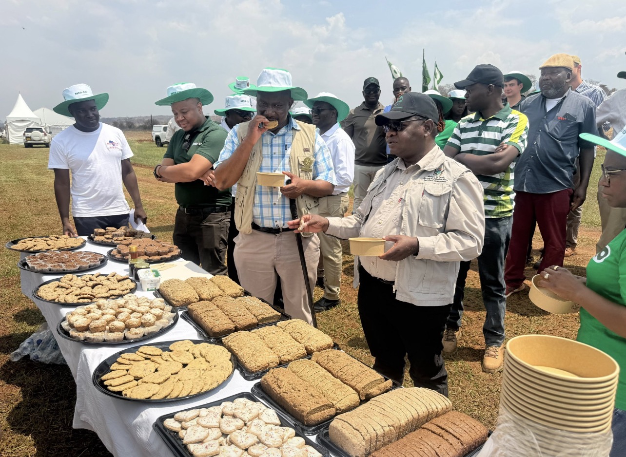 Seed Co launches climate-resilient wheat variety ahead of El Niño season